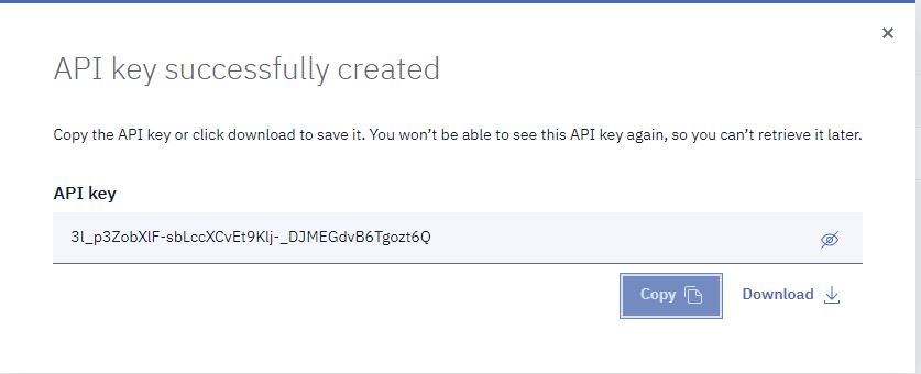 Copy and Save API Key