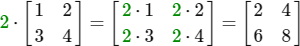 Matrix scalar multiplication