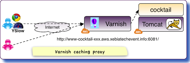 Web Caching Workshop Architecture - Varnish Caching Proxy