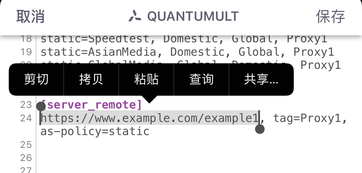 QuantumultX编辑